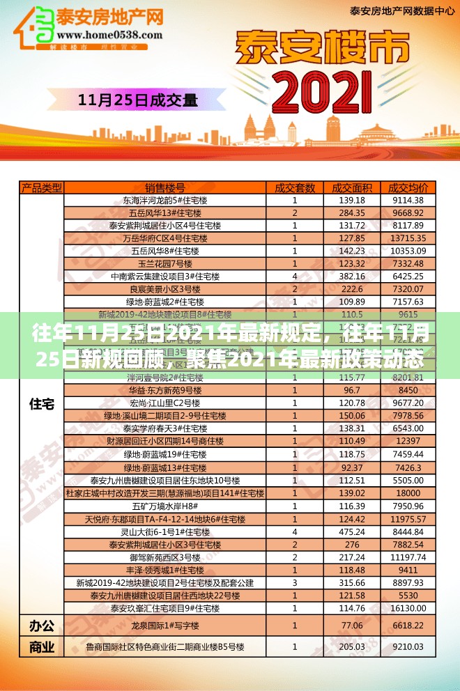 聚焦回顾，历年11月25日政策动态与最新规定概览（2021年）