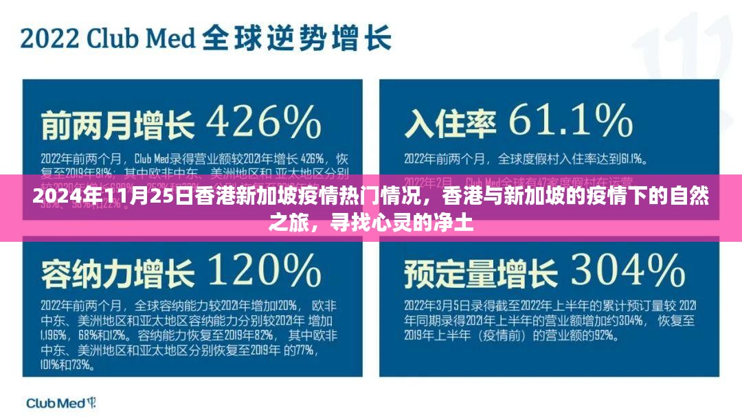 香港与新加坡疫情下的自然之旅，寻找心灵的净土（2024年11月25日疫情热门情况）