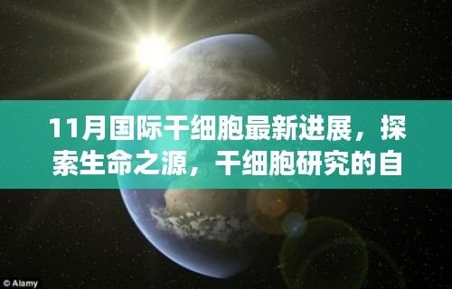 11月国际干细胞最新进展，探索生命之源，内外兼修的研究之旅