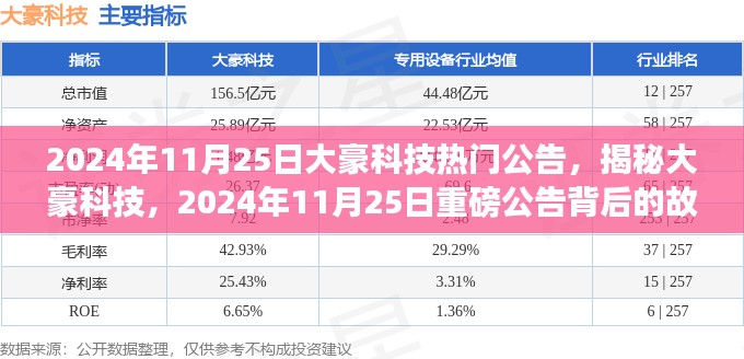 揭秘大豪科技，重磅公告背后的故事与未来展望（2024年11月25日）