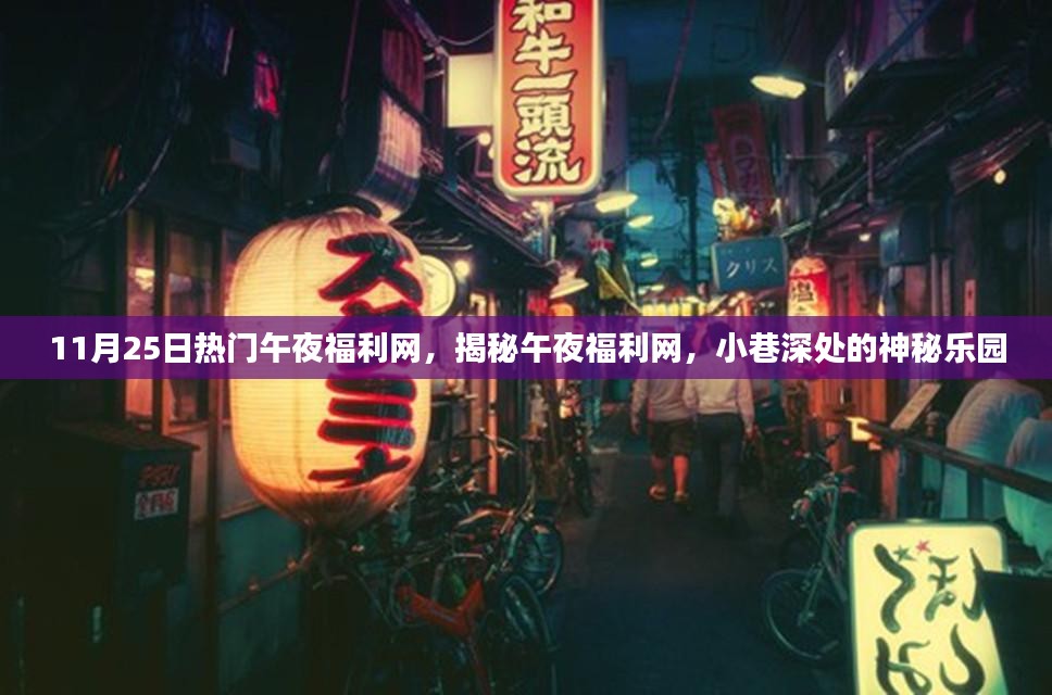 揭秘深夜神秘福利网，揭秘深夜小巷深处的秘密乐园