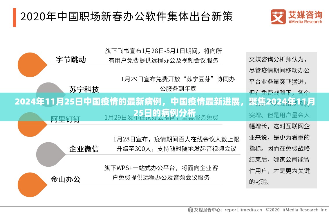 2024年11月25日中国疫情最新进展及病例分析聚焦