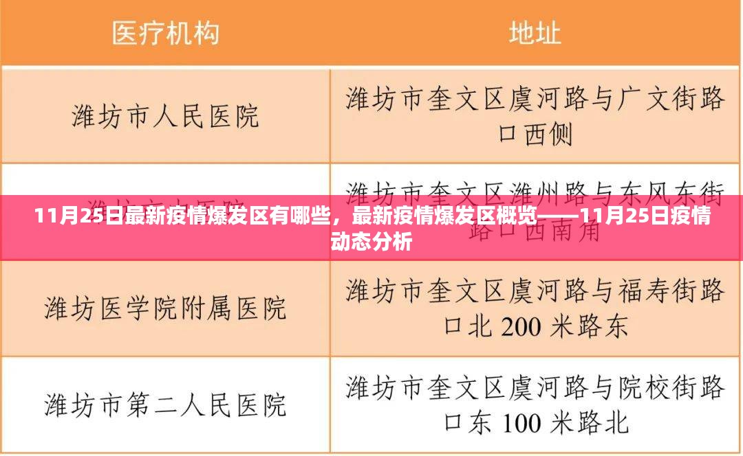 11月25日最新疫情爆发区域概览，动态分析与实时更新