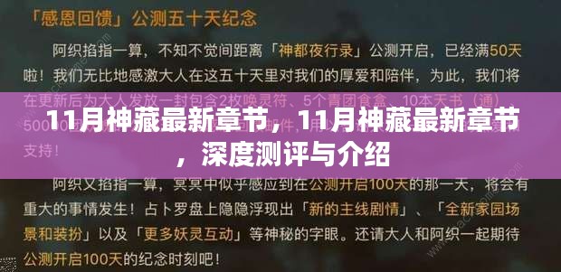 最新章节揭秘，深度测评与介绍11月神藏