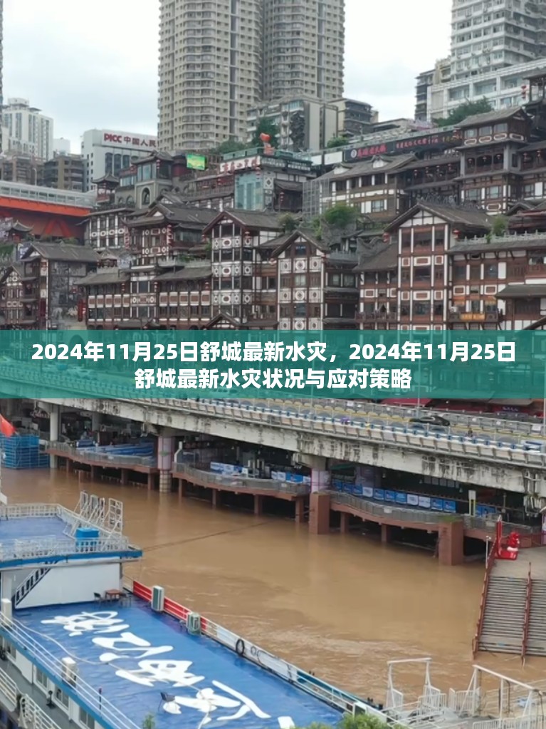 2024年11月25日舒城最新水灾，2024年11月25日舒城最新水灾状况与应对策略