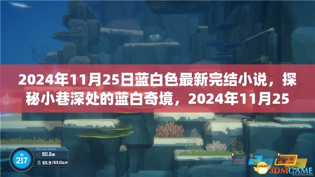 探秘小巷深处的蓝白奇境，最新完结小说之旅（2024年11月25日）