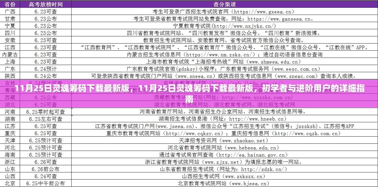 11月25日灵魂筹码下载最新版，初学者与进阶用户指南