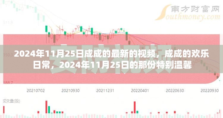 成成欢乐日常，2024年11月25日的温馨瞬间