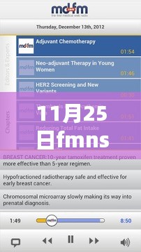 11月25日FMNS热门版下载，全面评测与详细介绍