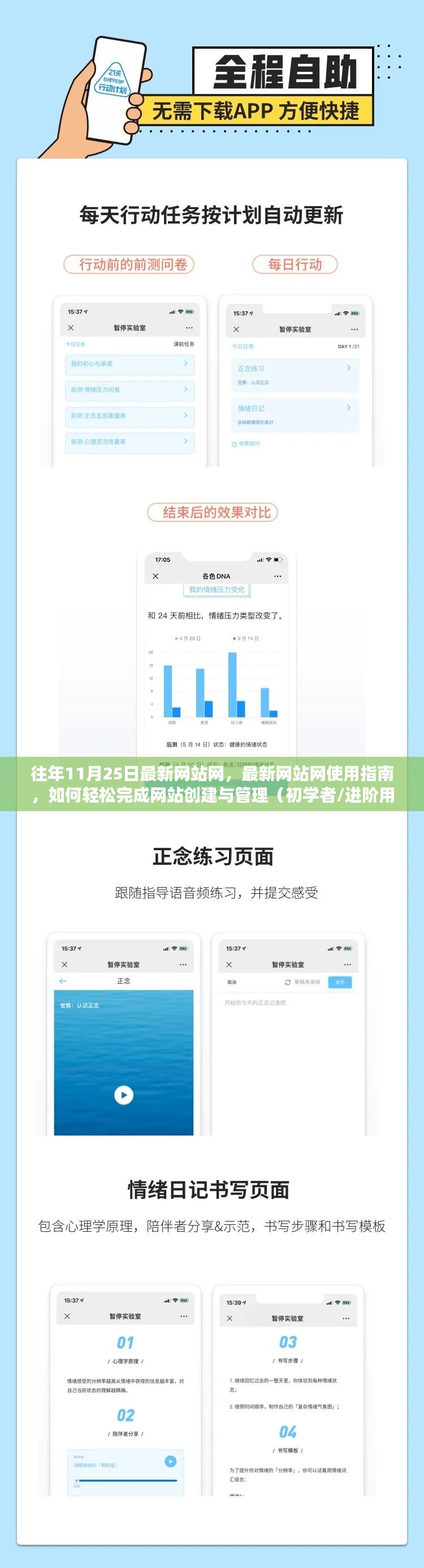 最新网站网使用指南，轻松完成网站创建与管理，适合初学者与进阶用户