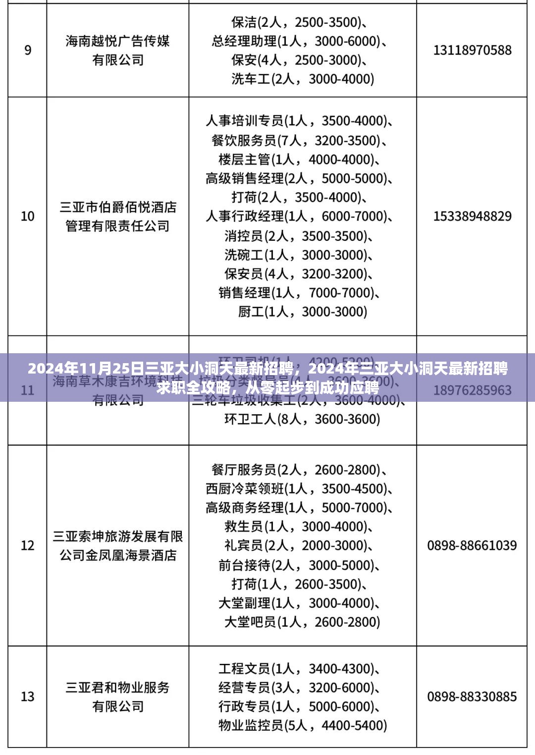 2024年三亚大小洞天最新招聘全攻略，从零起步到成功应聘