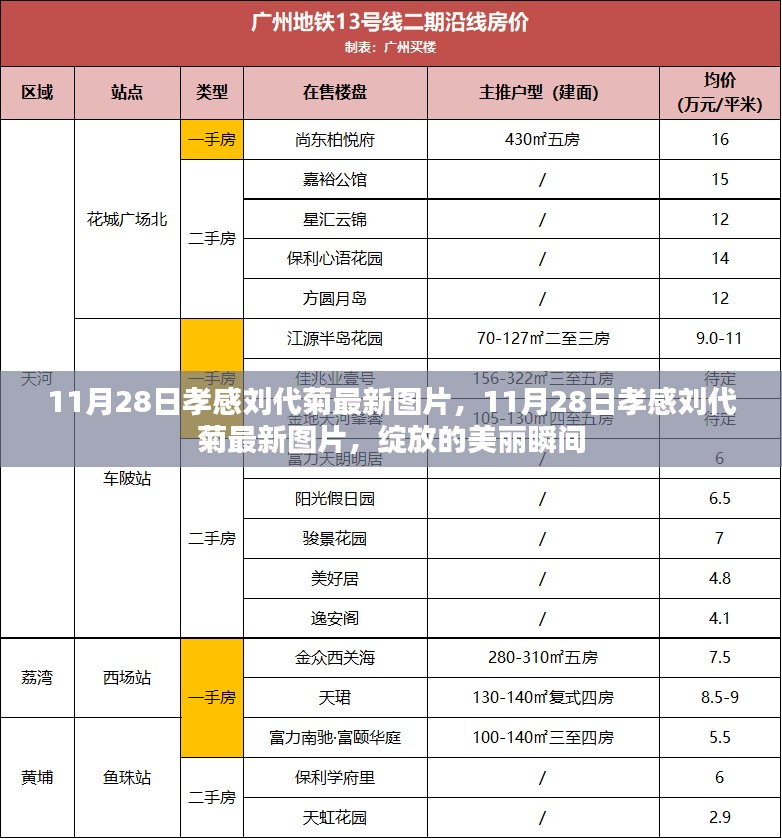 2024年11月 第50页