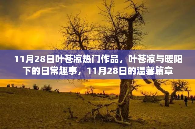 叶苍凉与暖阳下的温馨日常趣事——11月28日的精彩篇章