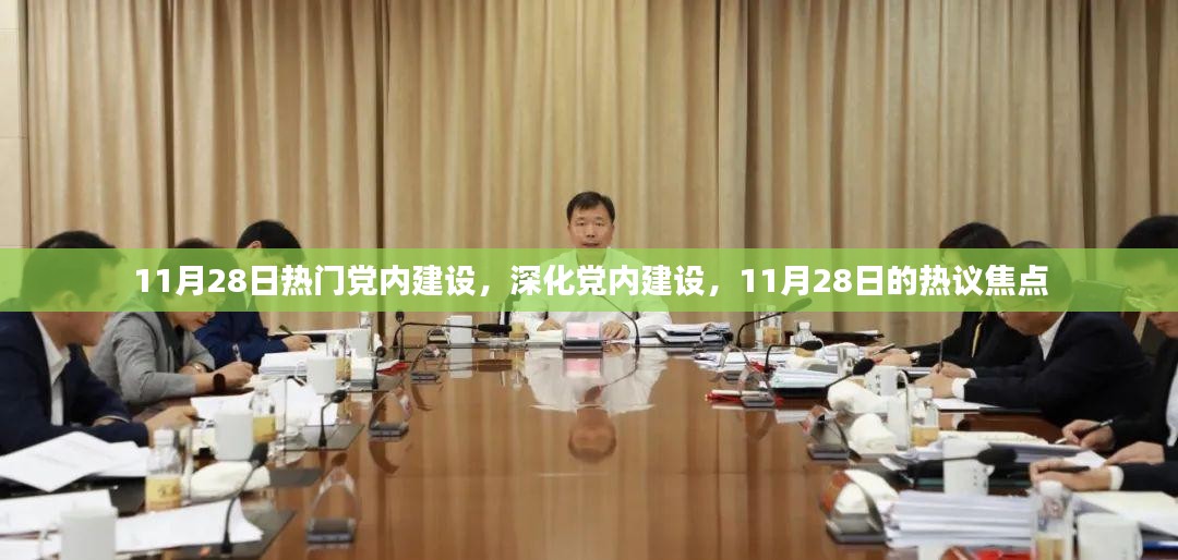 深化党内建设，热议焦点与行动方向（11月28日）