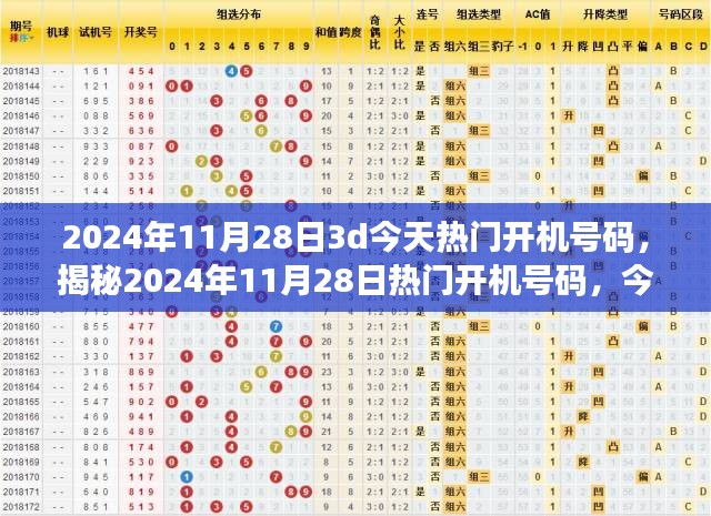 揭秘2024年11月28日热门开机号码，今日3D彩票特性、用户体验与目标用户分析