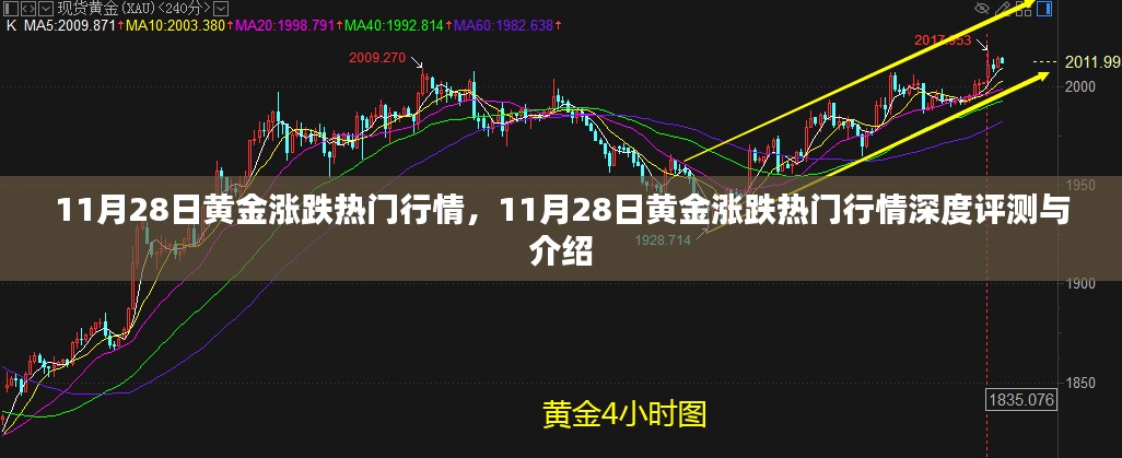 11月28日黄金行情深度解析，热门涨跌趋势及评测