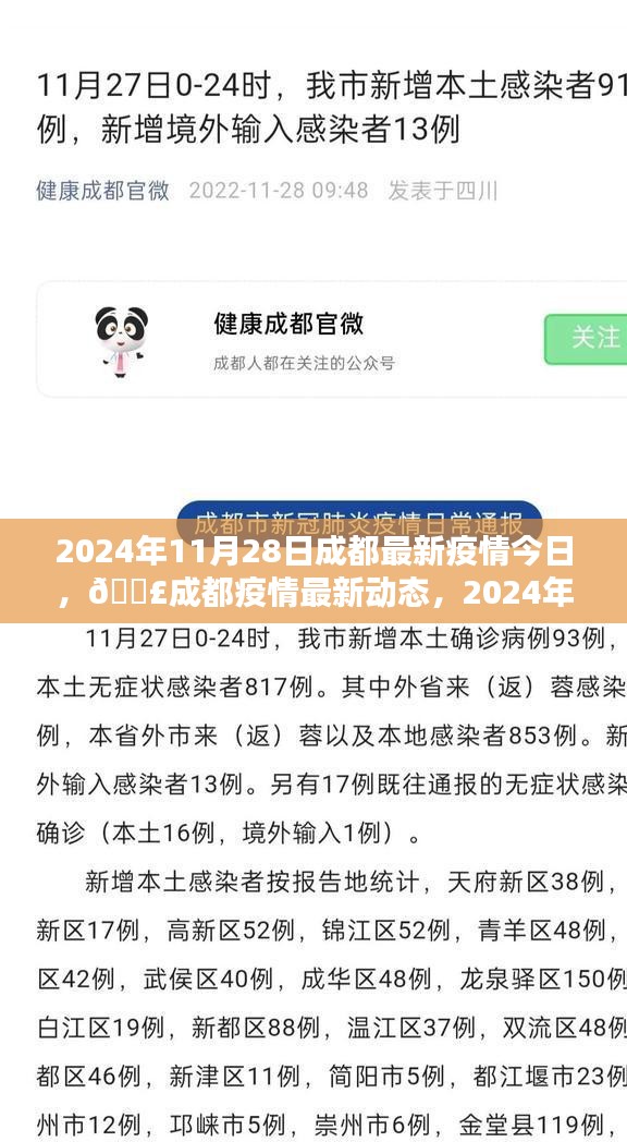 2024年11月28日成都疫情最新动态及防控指南