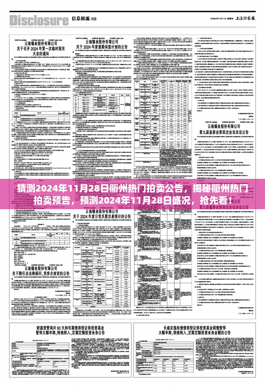 揭秘衢州拍卖盛况，预测2024年11月28日拍卖预告抢先看！