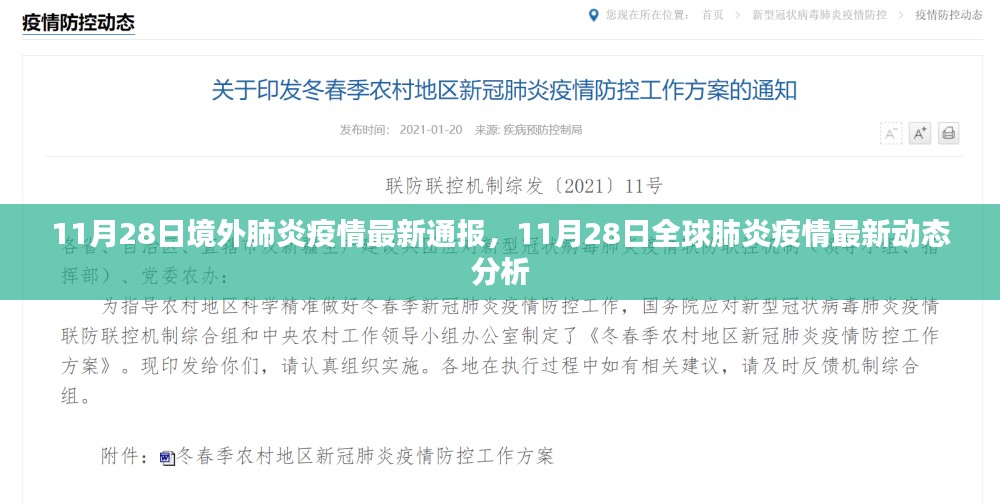 全球肺炎疫情最新动态分析，11月28日最新通报