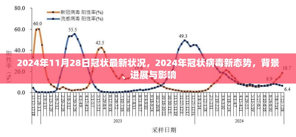 2024年冠状病毒最新态势，背景、进展与全球影响