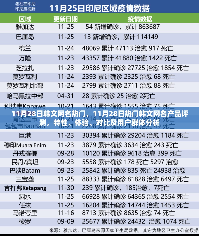 11月28日热门韩文网名综合评测，特性、体验、对比及用户群体深度分析