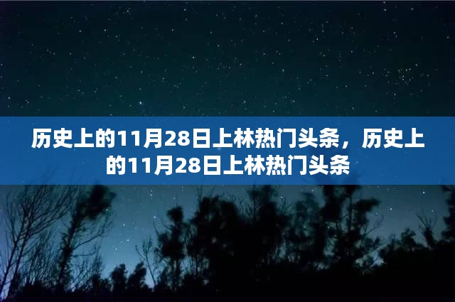 历史上的11月28日，上林热门头条回顾