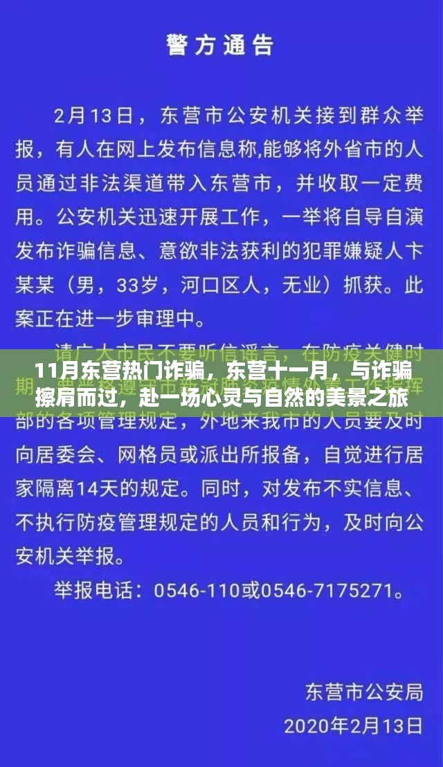 11月东营热门诈骗，东营十一月，与诈骗擦肩而过，赴一场心灵与自然的美景之旅