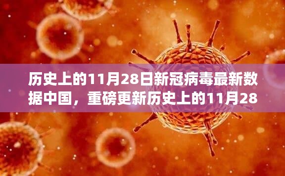 历史上的11月28日新冠病毒数据揭秘，中国抗击疫情的坚实步伐