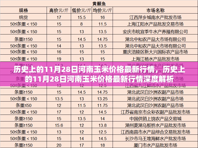 历史上的11月28日河南玉米价格深度解析及最新行情报告