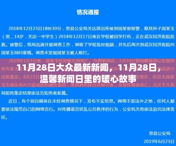 11月28日暖心新闻回顾，大众最新资讯与温馨故事