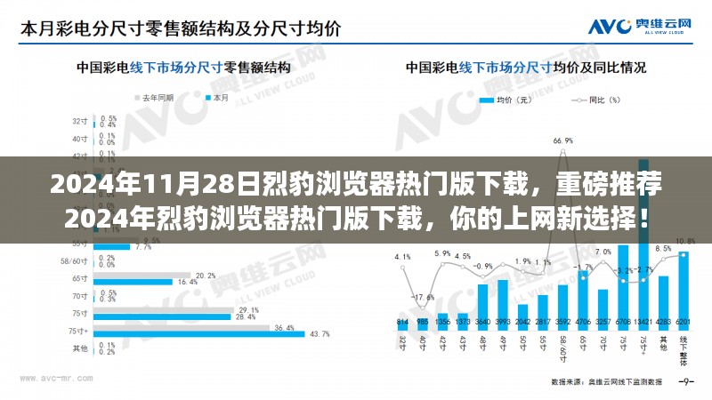 2024年烈豹浏览器热门版下载，全新上网体验，不容错过