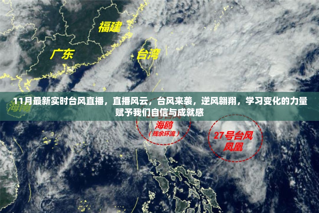 11月台风最新动态直播，风云变幻中的力量与自信之源