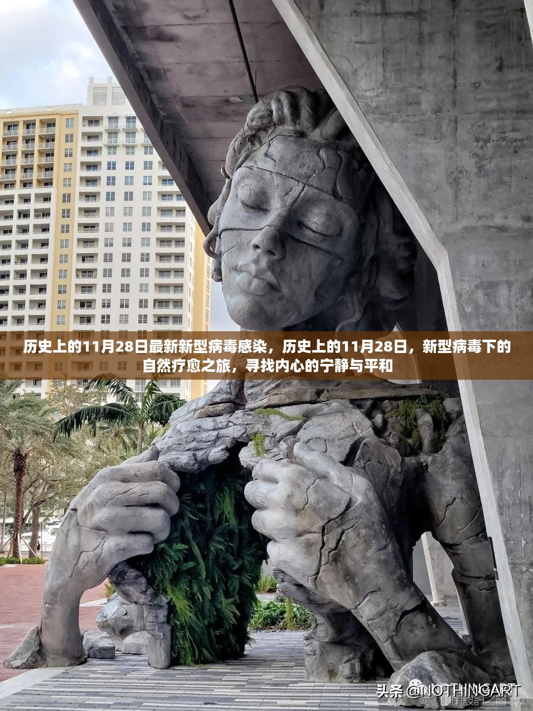 历史上的11月28日，新型病毒下的自然疗愈之旅与内心宁静的追寻