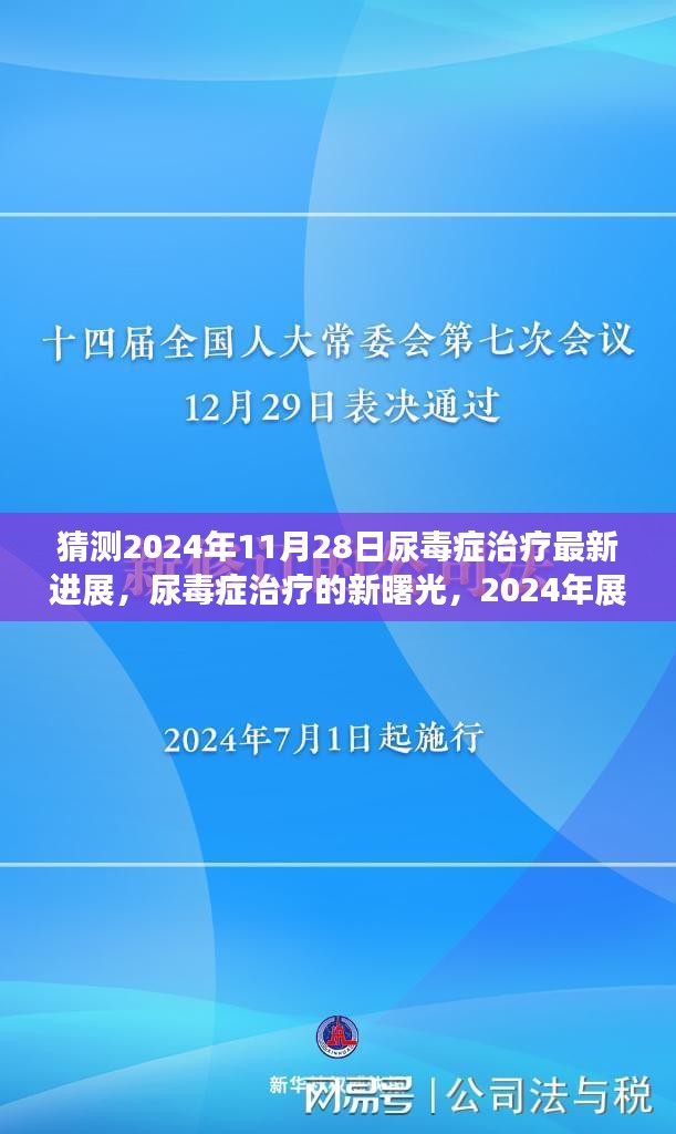 尿毒症治疗的新曙光，展望2024年最新进展与励志之旅