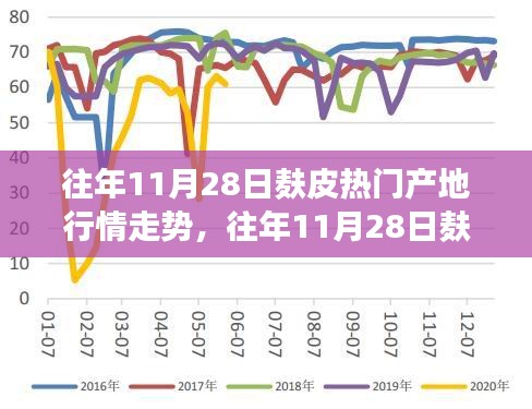 往年11月28日麸皮热门产地行情走势解析与深度观察