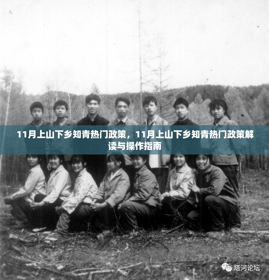 11月上山下乡知青政策解读与操作指南，热门政策详解及实践指南