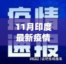 印度疫情通报，最新消息与深度分析（涵盖11月疫情动态）