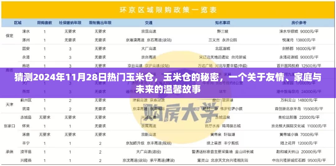 玉米仓的秘密，友情、家庭与未来的温馨故事，预测热门玉米仓揭晓