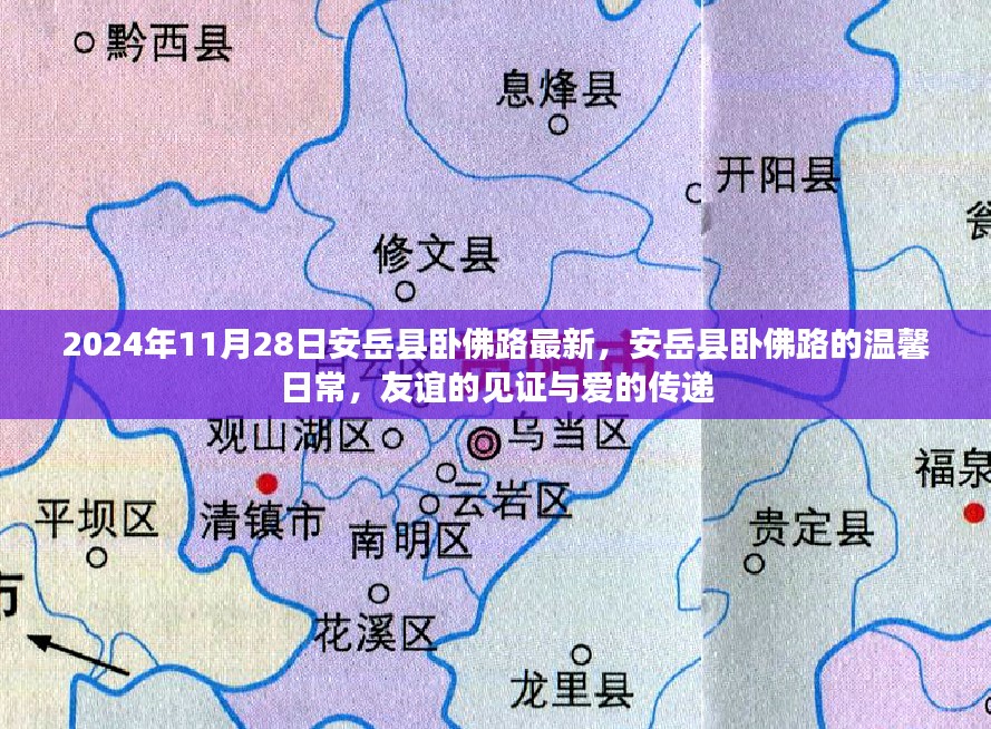 安岳县卧佛路的温馨日常，友谊与爱在路上的见证（2024年11月28日最新）