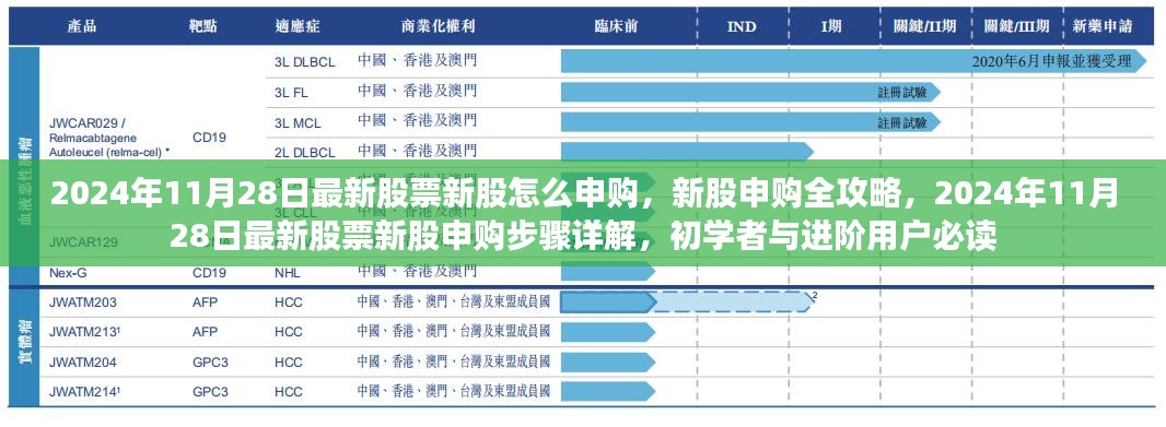 2024年新股申购指南，从入门到进阶的全方位攻略