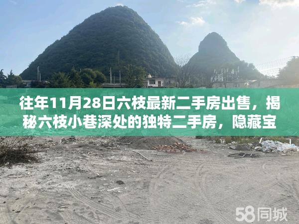 揭秘六枝小巷深处的独特二手房，最新二手房出售信息一网打尽（日期标注版）