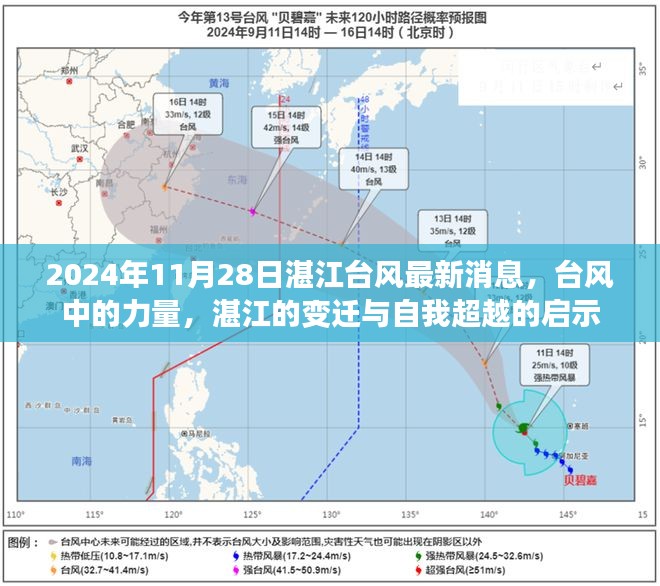 湛江台风最新动态，台风中的力量与自我超越启示