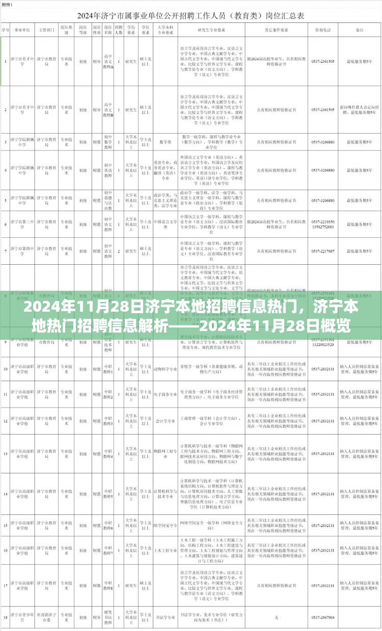 济宁本地热门招聘信息解析，2024年11月28日概览