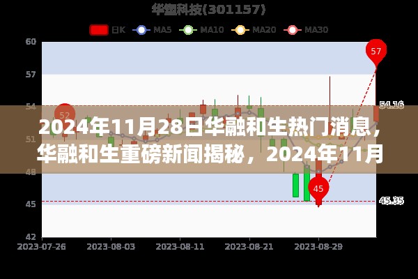 华融和生揭秘，揭秘重磅新闻与热议焦点，聚焦热议焦点，热议华融和生最新动态（2024年11月28日）