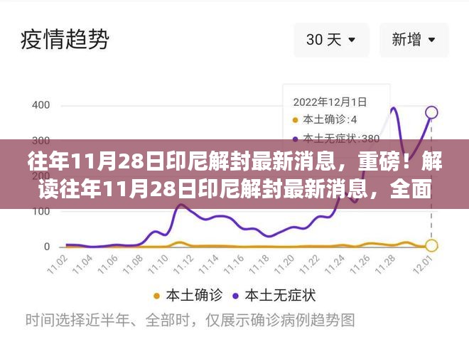 往年11月28日印尼解封最新消息解读，全面洞悉印尼疫情动态重磅报道！