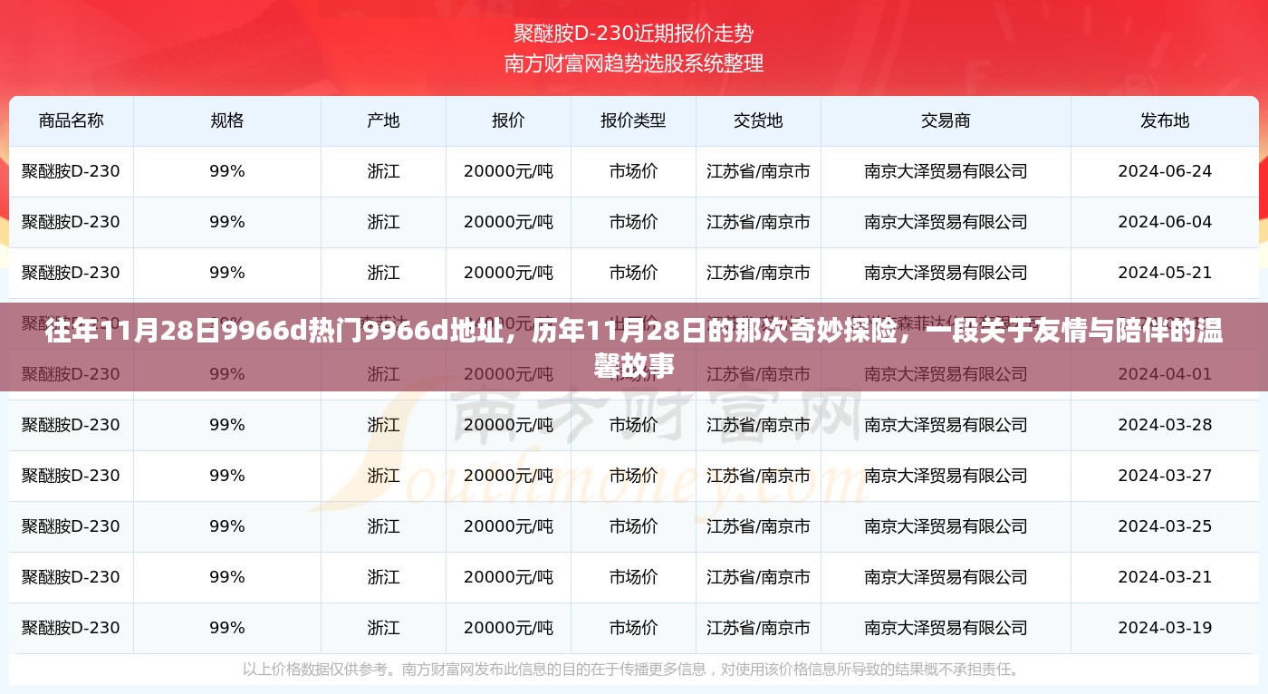 历年11月28日探险之旅，友情与陪伴的温馨故事