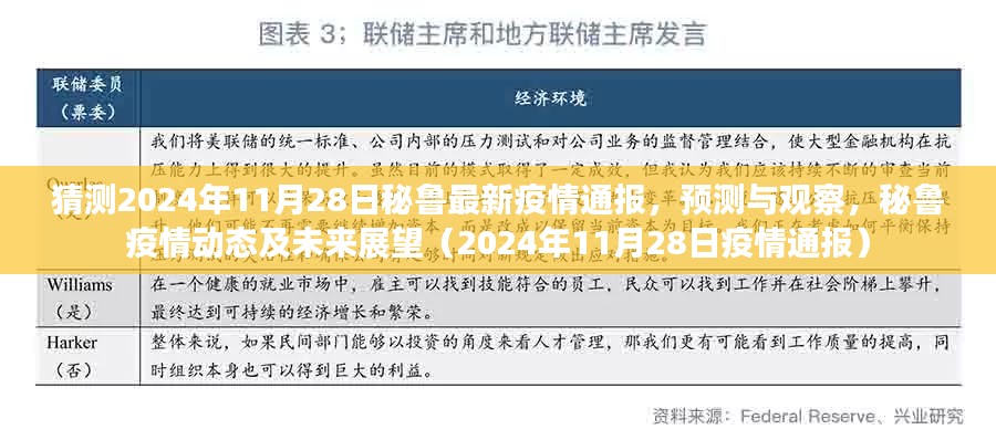 秘鲁疫情最新动态，预测与观察，未来展望（2024年11月2 秘鲁疫情通报揭晓，未来趋势预测）