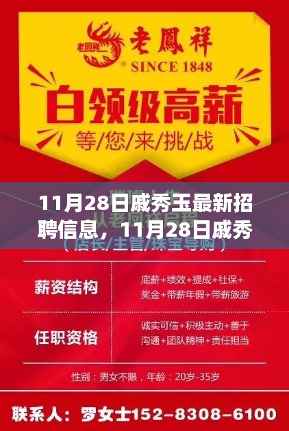 11月28日戚秀玉最新招聘信息发布，职场机遇与挑战同步来袭