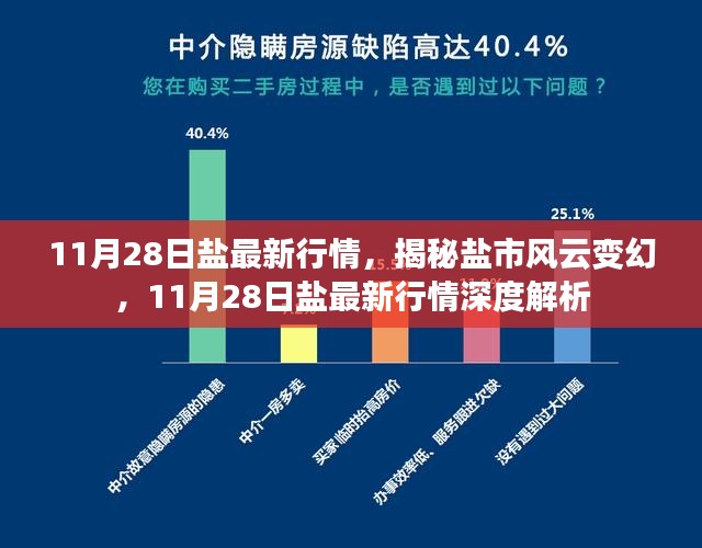 揭秘盐市风云变幻，深度解析11月28日盐最新行情