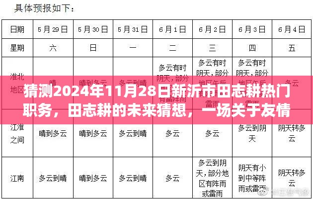 田志耕未来职务猜想，新沂市发展展望与友情梦想之旅的温馨猜想